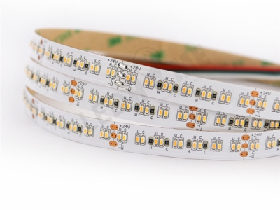 2110 308led CCT Light Strip (2pcs LEDs by team)