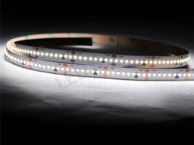 2216 120led CCT Light Strip (2pcs LEDs by team)